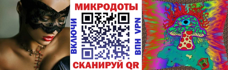 Галлюциногенные грибы Cubensis Элиста